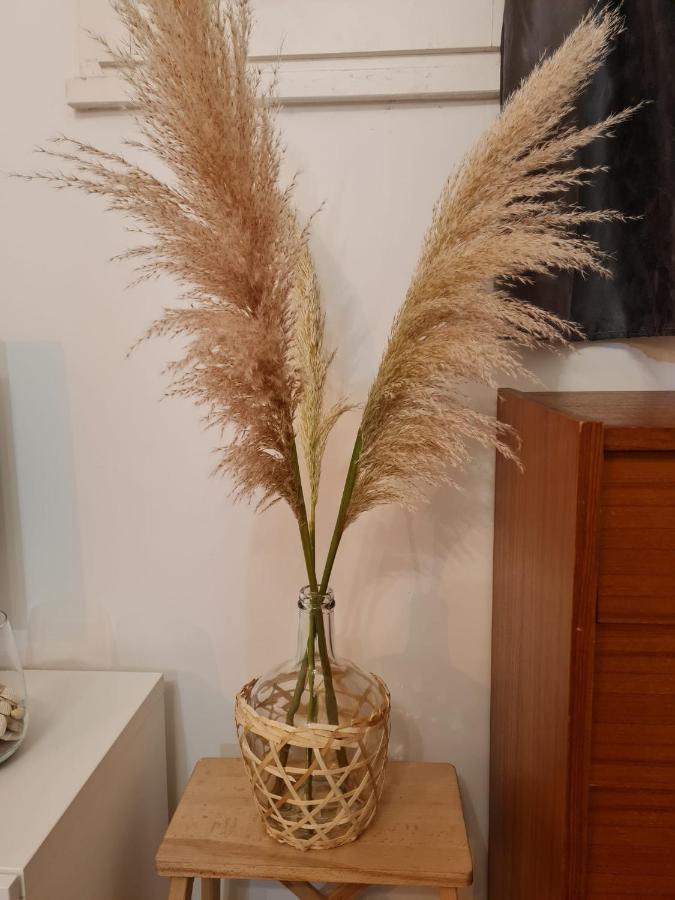 Appartement Sète T2 cosy et chaleureux Quartier gare Extérieur photo